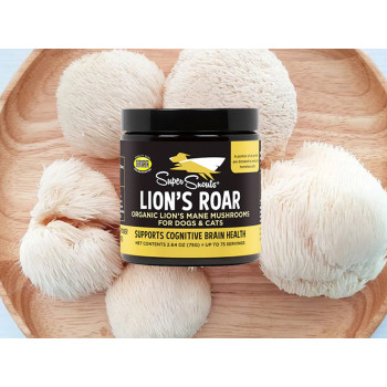 Lion's Roar mascotas senior (deterioro cognitivo) y problemas digestivos