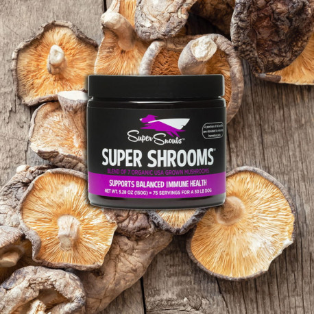 Super Shrooms 7 hongos medicinales